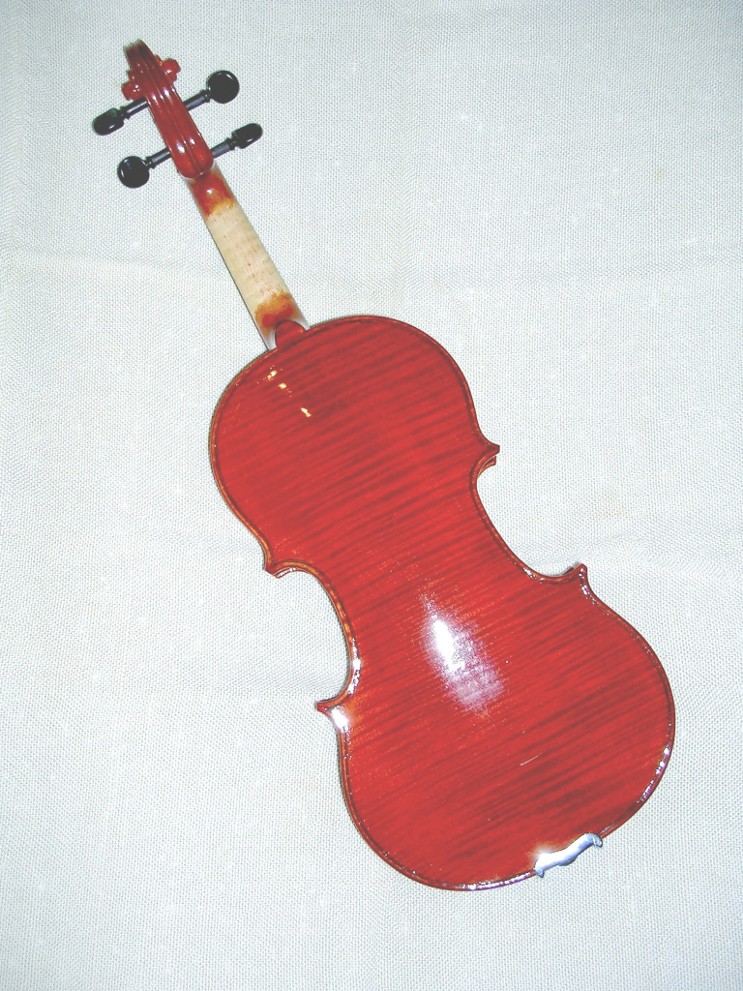 violino