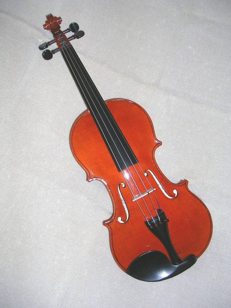 violino