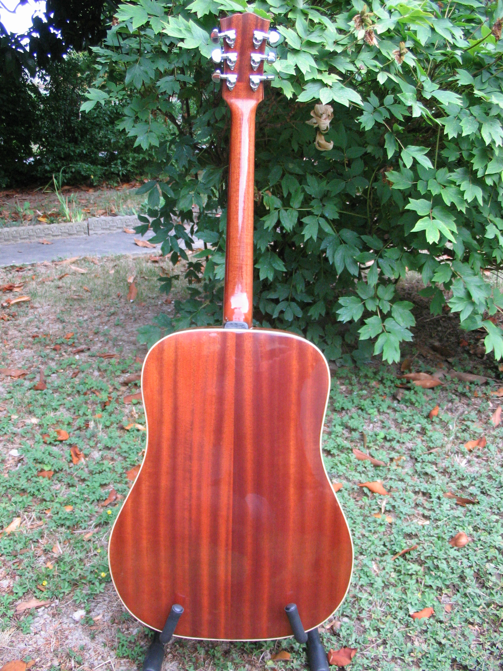chitarra